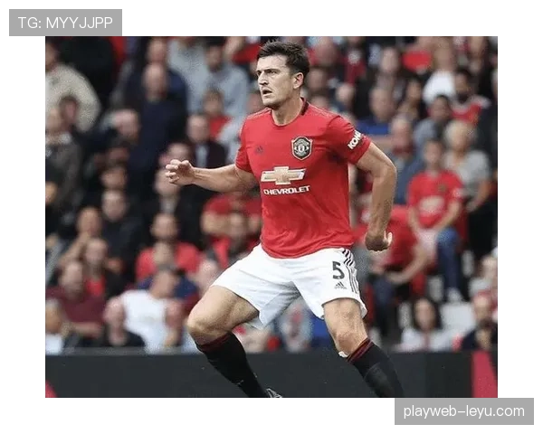 荷兰队新援加盟，期待助力球队在未来赛季表现稳健